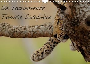 Die Faszinierende Tierwelt Südafrikas (Wandkalender 2019 DIN A4 quer) von Schmalhofer,  Christian