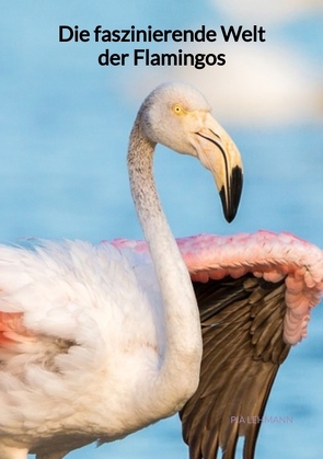 Die faszinierende Welt der Flamingos von Lehmann,  Pia