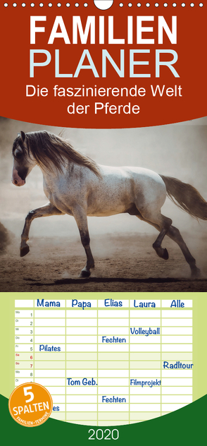 Die Faszinierende Welt der Pferde – Familienplaner hoch (Wandkalender 2020 , 21 cm x 45 cm, hoch) von Mischnik,  Sabrina