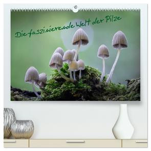 Die faszinierende Welt der Pilze (hochwertiger Premium Wandkalender 2024 DIN A2 quer), Kunstdruck in Hochglanz von Thất Quỳnh Lợi,  Tôn