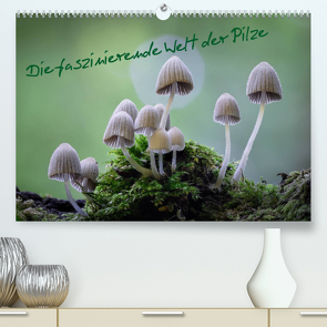 Die faszinierende Welt der Pilze (Premium, hochwertiger DIN A2 Wandkalender 2022, Kunstdruck in Hochglanz) von Thất Quỳnh Lợi,  Tôn