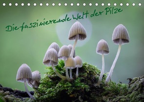 Die faszinierende Welt der Pilze (Tischkalender 2022 DIN A5 quer) von Thất Quỳnh Lợi,  Tôn