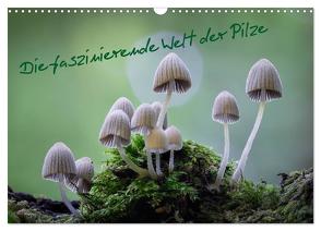 Die faszinierende Welt der Pilze (Wandkalender 2024 DIN A3 quer), CALVENDO Monatskalender von Thất Quỳnh Lợi,  Tôn