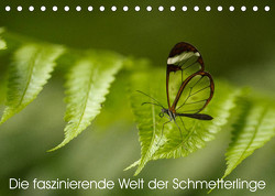 Die faszinierende Welt der Schmetterlinge (Tischkalender 2023 DIN A5 quer) von Nocke,  Benjamin