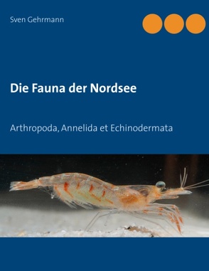 Die Fauna der Nordsee von Gehrmann,  Sven