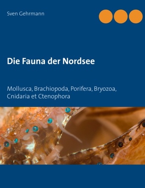 Die Fauna der Nordsee von Gehrmann,  Sven