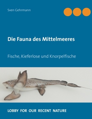 Die Fauna des Mittelmeeres von Gehrmann,  Sven