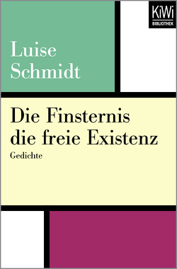 Die Finsternis die freie Existenz von Schmidt,  Luise