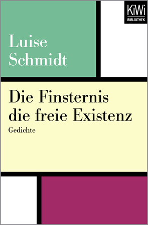 Die Finsternis die freie Existenz von Schmidt,  Luise