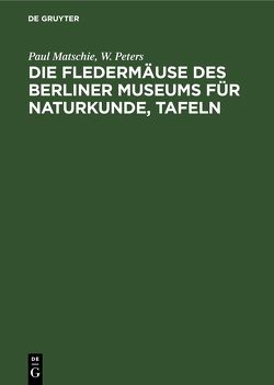 Die Fledermäuse des Berliner Museums für Naturkunde, Tafeln von Matschie,  Paul, Peters,  W.