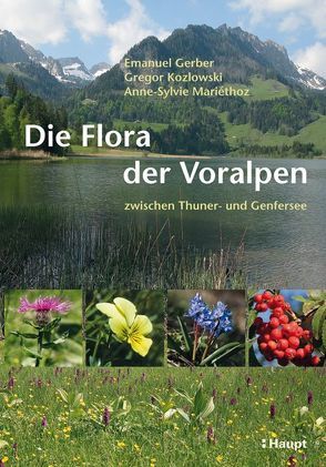 Die Flora der Voralpen von Gerber,  Emanuel, Kozlowski,  Gregor, Mariéthoz,  Anne-Sylvie