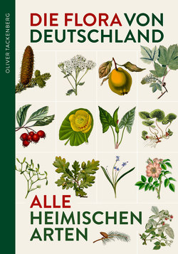 Die Flora von Deutschland. Alle heimischen Arten von Tackenberg,  Dr. Oliver