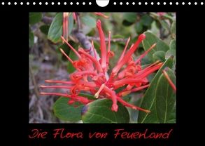 Die Flora von Feuerland (Wandkalender 2018 DIN A4 quer) von Kreissig,  Katharina