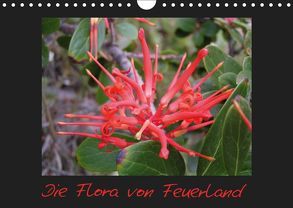 Die Flora von Feuerland (Wandkalender 2019 DIN A4 quer) von Kreissig,  Katharina