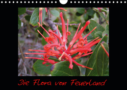Die Flora von Feuerland (Wandkalender 2021 DIN A4 quer) von Kreissig,  Katharina