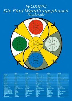 Die Fünf Wandlungsphasen: Physiologie von Ploberger,  Florian