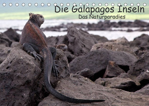 Die Galapagos Inseln – Das Naturparadies (Tischkalender 2022 DIN A5 quer) von Akrema-Photography, Neetze