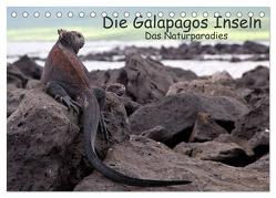 Die Galapagos Inseln – Das Naturparadies (Tischkalender 2024 DIN A5 quer), CALVENDO Monatskalender von Neetze,  Akrema-Photography