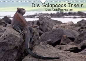 Die Galapagos Inseln – Das Naturparadies (Wandkalender 2019 DIN A4 quer) von Akrema-Photography, Neetze