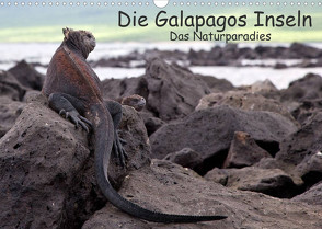 Die Galapagos Inseln – Das Naturparadies (Wandkalender 2022 DIN A3 quer) von Akrema-Photography, Neetze