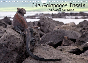 Die Galapagos Inseln – Das Naturparadies (Wandkalender 2022 DIN A4 quer) von Akrema-Photography, Neetze