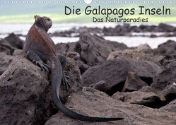 Die Galapagos Inseln – Das Naturparadies (Wandkalender 2023 DIN A3 quer) von Akrema-Photography, Neetze
