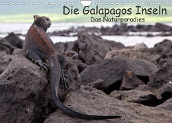 Die Galapagos Inseln – Das Naturparadies (Wandkalender 2023 DIN A4 quer) von Akrema-Photography, Neetze