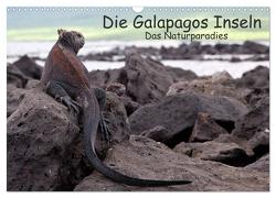 Die Galapagos Inseln – Das Naturparadies (Wandkalender 2024 DIN A3 quer), CALVENDO Monatskalender von Neetze,  Akrema-Photography