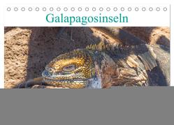 Die Galapagosinseln – Santa Cruz Island (Tischkalender 2024 DIN A5 quer), CALVENDO Monatskalender von pixs:sell,  pixs:sell