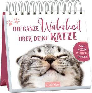 Die ganze Wahrheit über deine Katze