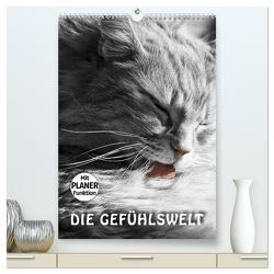 DIE GEFÜHLSWELT (hochwertiger Premium Wandkalender 2024 DIN A2 hoch), Kunstdruck in Hochglanz von Gross,  Viktor