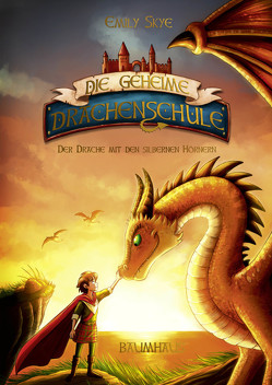 Die geheime Drachenschule – Der Drache mit den silbernen Hörnern von Nöldner,  Pascal, Skye,  Emily