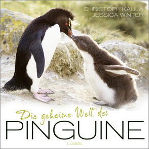 Die geheime Welt der Pinguine von Kaula,  Christoph, Winter,  Jessica