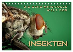Die geheimnisvolle Welt der Insekten (Tischkalender 2024 DIN A5 quer), CALVENDO Monatskalender von Bleicher,  Renate