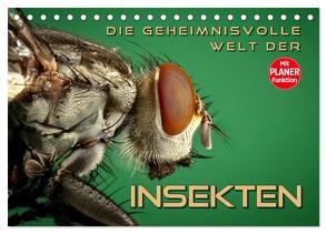Die geheimnisvolle Welt der Insekten (Tischkalender 2024 DIN A5 quer), CALVENDO Monatskalender von Bleicher,  Renate
