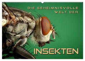 Die geheimnisvolle Welt der Insekten (Wandkalender 2024 DIN A2 quer), CALVENDO Monatskalender von Bleicher,  Renate