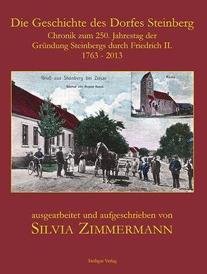 Die Geschichte des Dorfes Steinberg von Zimmermann,  Silvia