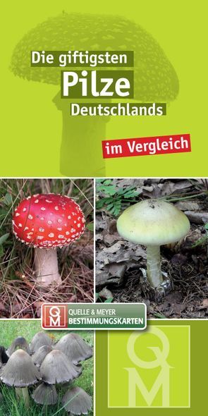 Die giftigsten Pilze Deutschlands im Vergleich von Quelle & Meyer Verlag