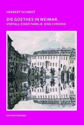 Die Goethes in Weimar von Aehling,  Georg, Petershoff,  Thomas, Richter,  Gerhard, Schmidt,  Herbert, Wingertszahn,  Christof