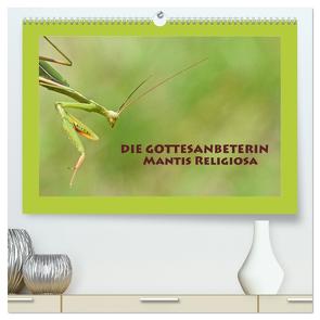 Die Gottesanbeterin Mantis Religiosa (hochwertiger Premium Wandkalender 2024 DIN A2 quer), Kunstdruck in Hochglanz von GUGIGEI,  GUGIGEI