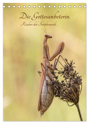 Die Gottesanbeterin. Räuber der Insektenwelt. (Tischkalender 2024 DIN A5 hoch), CALVENDO Monatskalender von juehust,  juehust