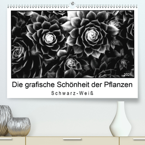Die grafische Schönheit der Pflanzen – Schwarz-Weiß (Premium, hochwertiger DIN A2 Wandkalender 2021, Kunstdruck in Hochglanz) von Wurster,  Beate