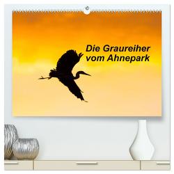 Die Graureiher vom Ahnepark (hochwertiger Premium Wandkalender 2024 DIN A2 quer), Kunstdruck in Hochglanz von Martin,  Wilfried