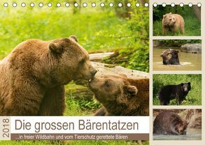 Die grossen Bärentatzen (Tischkalender 2018 DIN A5 quer) von Photo4emotion.com