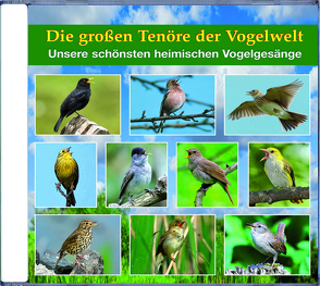 Die großen Tenöre der Vogelwelt von Dingler,  Karl-Heinz