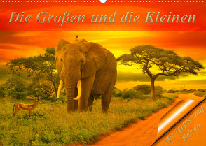 Die Großen und die Kleinen (Wandkalender 2023 DIN A2 quer) von Schwerin,  Heinz-Peter