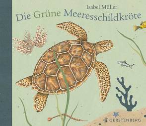 Die Grüne Meeresschildkröte von Müller,  Isabel