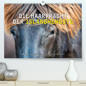 Die Haarpracht der Islandhengste. (Premium, hochwertiger DIN A2 Wandkalender 2022, Kunstdruck in Hochglanz) von Gerlach,  Ingo