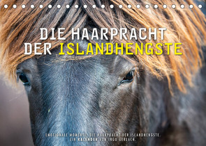 Die Haarpracht der Islandhengste. (Tischkalender 2022 DIN A5 quer) von Gerlach,  Ingo