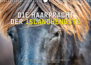 Die Haarpracht der Islandhengste. (Wandkalender 2022 DIN A3 quer) von Gerlach,  Ingo